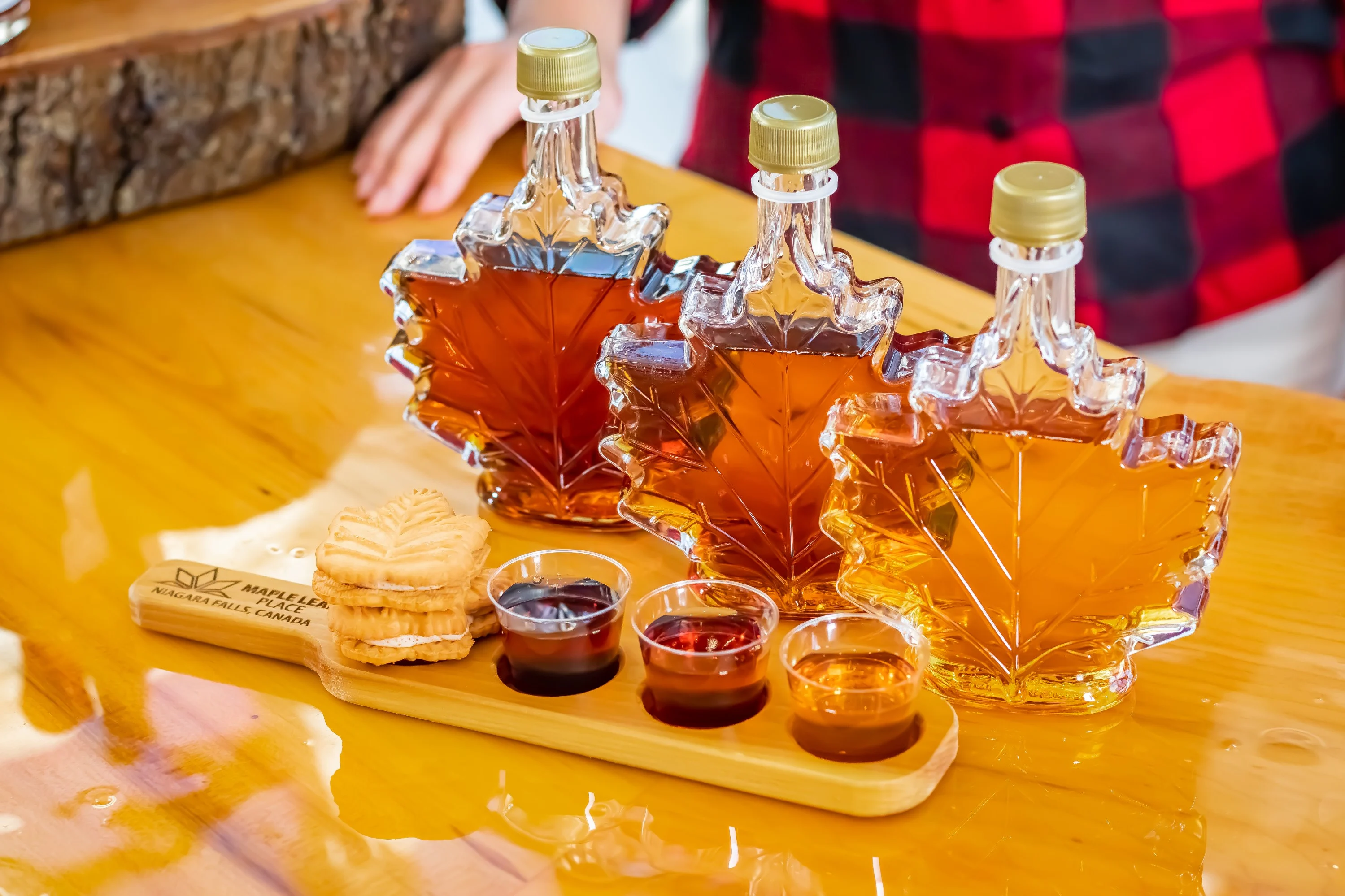 MAPLE SYRUP TASTING